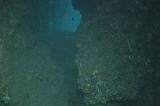 07 ES 061